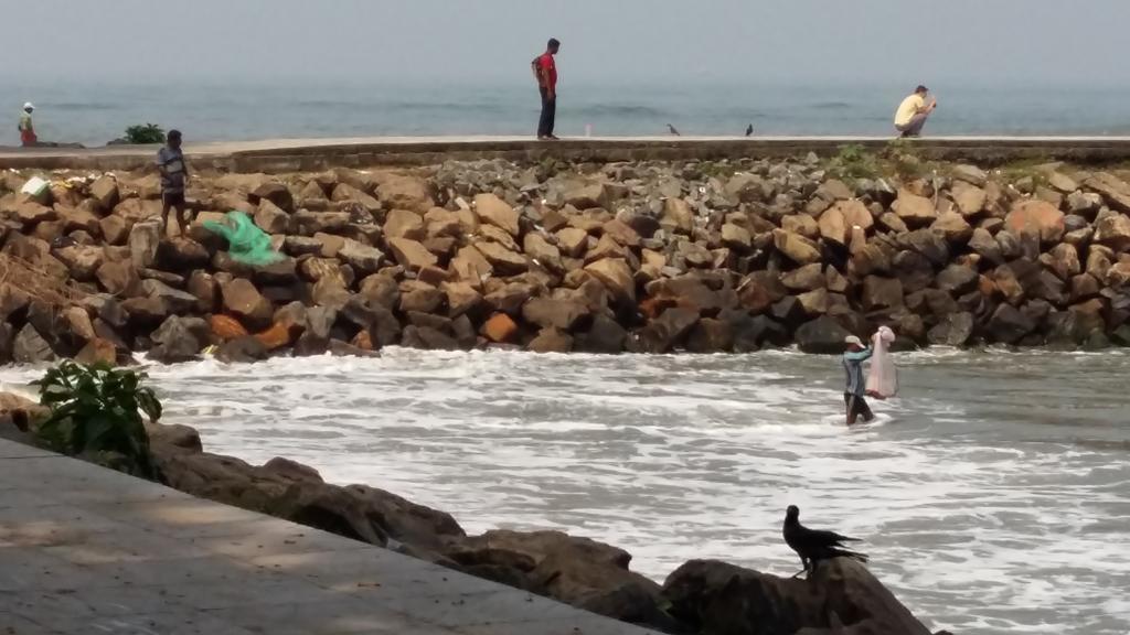 Niya Nest Homestay Kochi Dış mekan fotoğraf